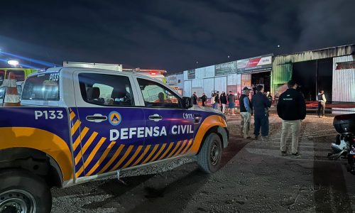 Feria de Guaymallén (1)